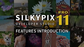 quotSILKYPIX Developer Studio Pro11quot promotion movie  FEATURES INTRODUCTION [upl. by Cadal509]