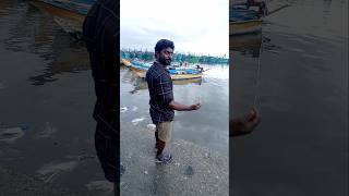 Unbelievable Big Fish Catch with 12 EMPTY Hooks fishing fishingvideos thoondilulagam seafishing [upl. by Aliled]