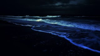 Soothing Ocean Sounds for Deep Sleep  24 Hours of Waves to Ease Stress amp Promote Rest [upl. by Harper]