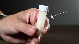 How To Test For Bacteria In Water [upl. by Ajiak]