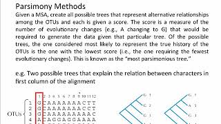 Phylogenetics  Basic Steps  Maximum Parsimony [upl. by Ococ]