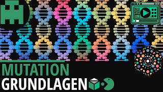 Mutation Grundlagen│Biologie Lernvideo Learning Level Up [upl. by Som889]