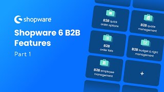 Shopware 6 B2B Features Part 1 [upl. by Epperson]