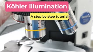 Köhler illumination  A step by step tutorial [upl. by Ailssa819]