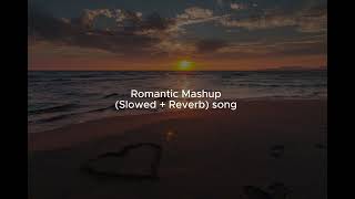 Romantic Mashup song  Main Ranga Sarbotan ka  slowed  reverb songs [upl. by Mcafee]