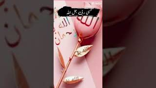 Sadqay tere aqqa deen sub ko millanaatssharif naatstatus [upl. by Zollie]