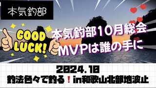 【フカセ釣り】釣法色々で釣りin和歌山北部地波止本気釣部和歌山 フカセ釣り紀州釣りチヌ釣り太刀魚fishing202410 [upl. by Annavoeg254]