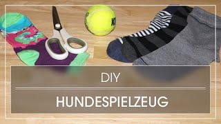 DIY Hundespielzeug  Hundespielzeug einfach und schnell selber machen [upl. by Chevalier]