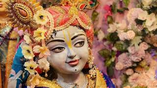 मीरा की अमर भक्ति  Krishna Bhajan  Radha Krishna Song  Meera Bhajan 2024 [upl. by Atinaujnas]