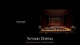 Giacomo Puccini  Nessun Dorma from Turandot Instrumental rare [upl. by Cruickshank809]