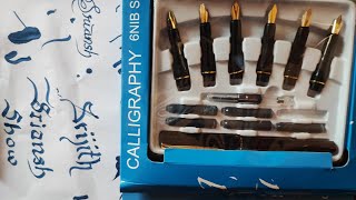 New Calligraphy Pen Set art calligraphy [upl. by Bearce]