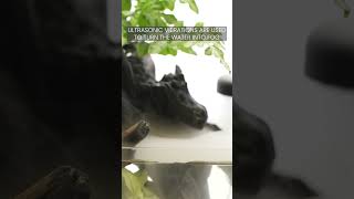 Ultum Nature Systems UNS Atomizer Mist Maker in Planted Aquarium [upl. by Annai628]