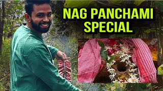 Nag Panchami Special vlog minivlog indanfestival hindufestival vlog dailyvlog viralvideo [upl. by Llenyaj]