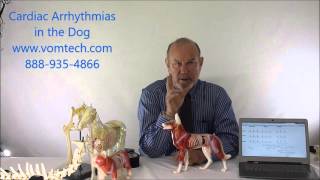 Cardiac Arrhythmias in the Dog HB [upl. by Amalee]