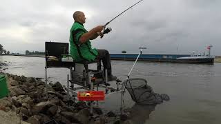 met de feeder op de ijssel [upl. by Zared]