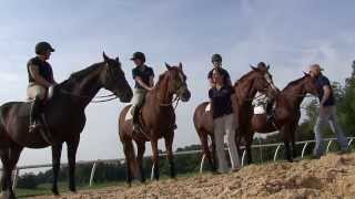 Intermont Equestrian at Emory amp Henry College [upl. by Eylrac]