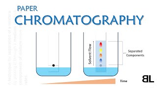 What is Chromatography  Paper Chromatography  GCSE Chemistry Lecture [upl. by Ful838]