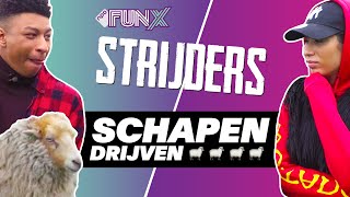 FUNX STRIJDERS  SCHAPEN DRIJVEN  AFL 6 [upl. by Resor]