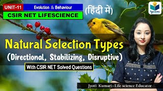 Natural Selection amp Its Types  Direction Stabilizing Disruptive  Evolution  CSIR NET 2024 [upl. by Cailly]