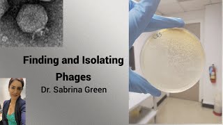 Finding and Isolating Phages [upl. by Atekehs]