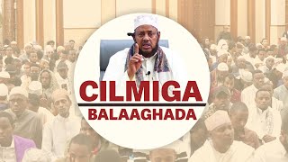 Cilmiga Balaaghada 06 Jawharul Maknuun  BBS MOSQUE  Sh Shariff Dhawiil [upl. by Naylor527]