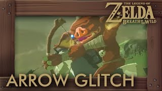 Zelda Breath of the Wild  Arrow Farming Glitch [upl. by Borrell]