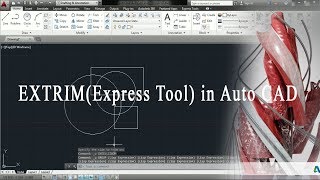 How to trim multi line in Autocad [upl. by Bowne140]