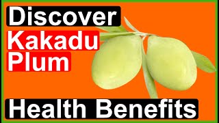 Unlocking the Ultimate Health Secret Kakadu Plum Benefits Revealed [upl. by Hedgcock]