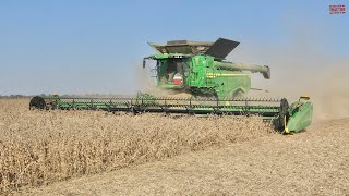 50ft JOHN DEERE HD50R Draper Harvesting Soybeans [upl. by Oremar]