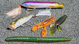 Topwater Popper and BFS Bait Finesse For Spring Bass [upl. by Lyrehc473]