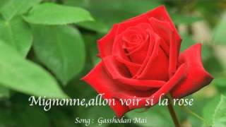 Mignonneallon voir si la rose Gasshodan MAI [upl. by Colby]