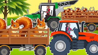 Monkey Working Farm Tractor transports and harvests acorns for squirrels  Farm Vehicles [upl. by Uis688]