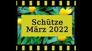 SCHÜTZE MÄRZ 2022 Ausweichmanöver Tarot Karten Orakel für die Sternzeichen [upl. by Ellison]