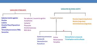 Classification of Ganglionic stimulants amp blocking agents [upl. by Annoled863]