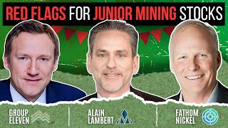 Junior Mining Red Flags a New Zinc Discovery and Some Nickel  Prismo Group Eleven Fathom Nickel [upl. by Hajin]