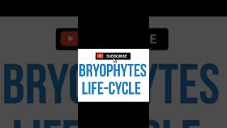 BRYOPHYTES LIFECYCLE [upl. by Schinica]