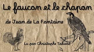 Le faucon et le chapon  AUDIO  Fable de Jean de La Fontaine [upl. by Farrica510]