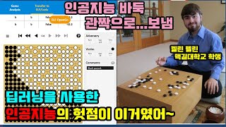 딥러닝 사용한 인공지능 바둑 헛점을 찾아내 관짝으로 보낸 미국 대학생 [upl. by Lennahc957]