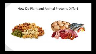 IndustryPresented Webinar A Tale of Two Proteins  Plant vs Animal for Fitness [upl. by Airal]