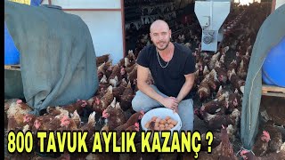 800 TAVUK AYDA KAÇ PARA KAZANDIRIR  45000 ₺ Kendi İşinin Patronu Ol [upl. by Daughtry]