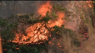 Picayune Strand fire reaches 6000 acres [upl. by Johns]