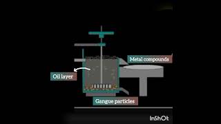 metallurgy  class10 Method of concentration of ore  Froth flotation method [upl. by Giffy]