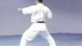 Karate Kyokushin  Pinan sono go [upl. by Demmy229]