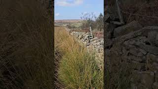 Darwen Moor travel punkatit lancashire darwen darwenmoor nature moor [upl. by Llyrrad818]