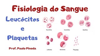 Fisiologia do Sangue  Leucócitos e Plaquetas [upl. by Simone]