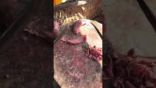 Cow calf meet smooth cutting video [upl. by Luapnaes]