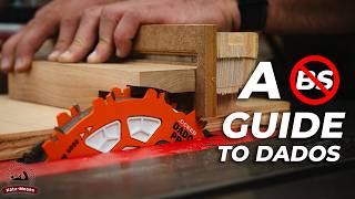 Mastering the Dado Stack No BS Advice for Woodworkers [upl. by Rivard]