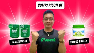 COMPARISON OF SANTE BARLEY AND SALVEO BARLEY [upl. by Assilrac]