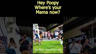 Hey poopy wheres your Mama now [upl. by Conte]