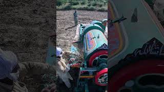 peanut harvesting Peanuts Harvesting  peanuts farming [upl. by Adriano]